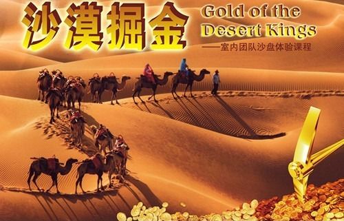 《沙漠掘金》——管理决策与团队建设